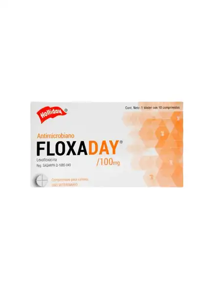 HOLLIDAY FLOXADAY 100 MG X 10 COMP