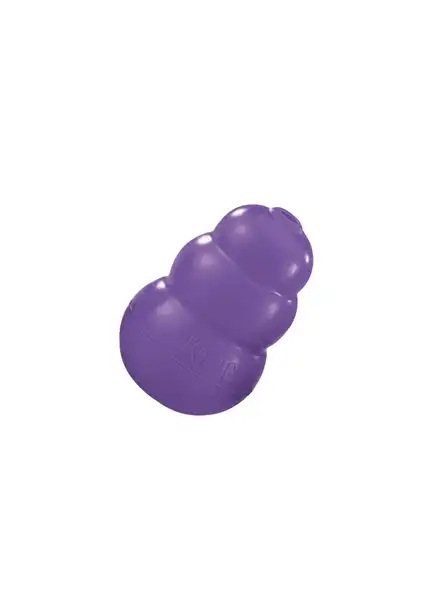 KONG KONG SENIOR LARGE KN1 TETRA