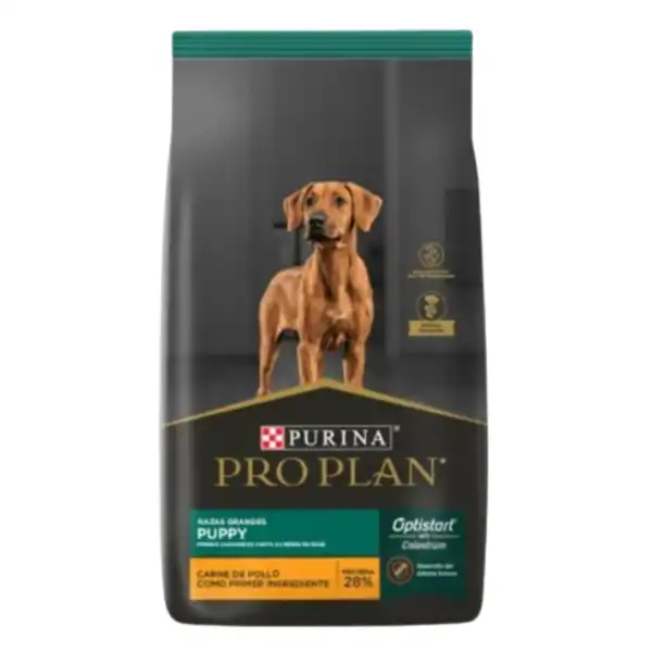 PROPLAN CACHORRO RAZA GRANDE 15KG 