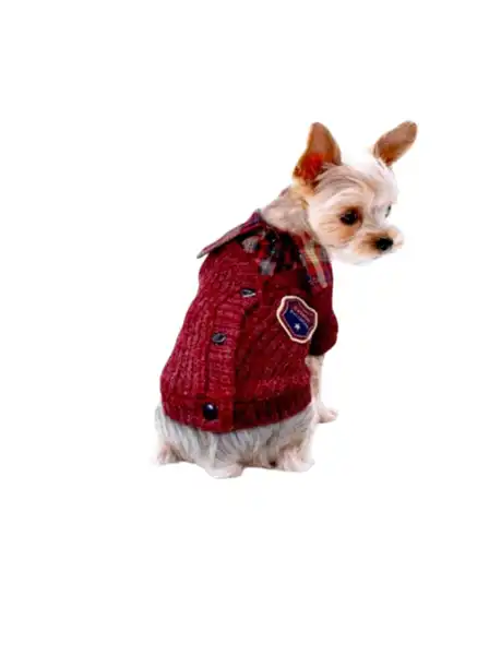 PER-ROS SWEATER CON CAMISA L
