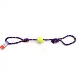 PETSPLAST PELOTA DE GOMA MEDIANA CON SOGA ALPINA 