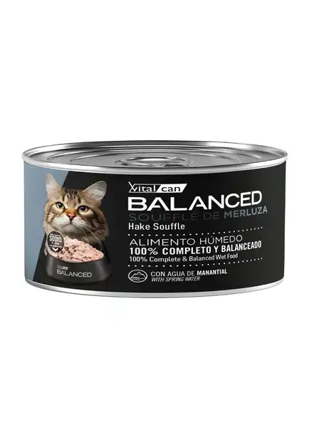 Alimento Húmedo Vitalcan Balanced Souffle de Merluza Gato Senior 85 g