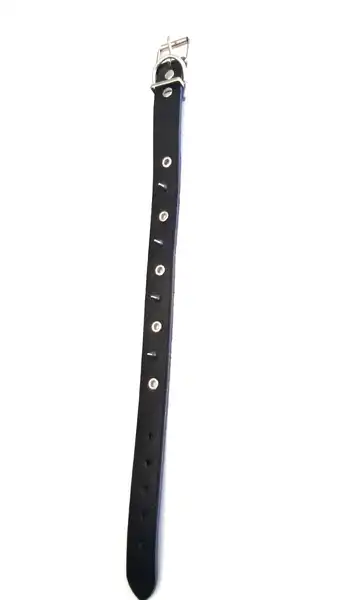 DM COLLAR PUAS 3.5 X 70CM