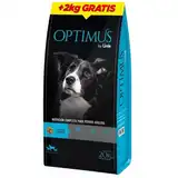 Alimento Balanceado Seco Optimus Perro Adulto 20 + 2 kg de Regalo (22 kg)